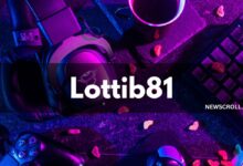 Lottib81