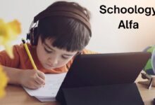 Schoology Alfa