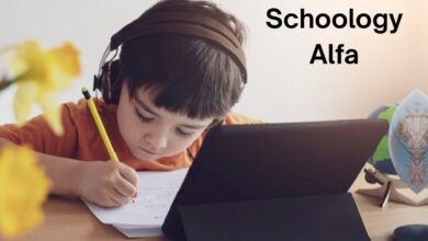 Schoology Alfa
