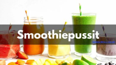 Smoothiepussit