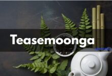 Teasemoonga